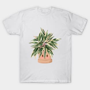 Cute Plant Illustration, Calathea Triostar T-Shirt